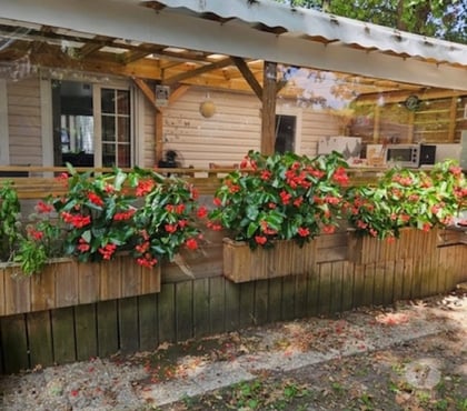 location vacance St Augustin Charente-Maritime - Photos Vivastreet Mobil home a Saint Augustin