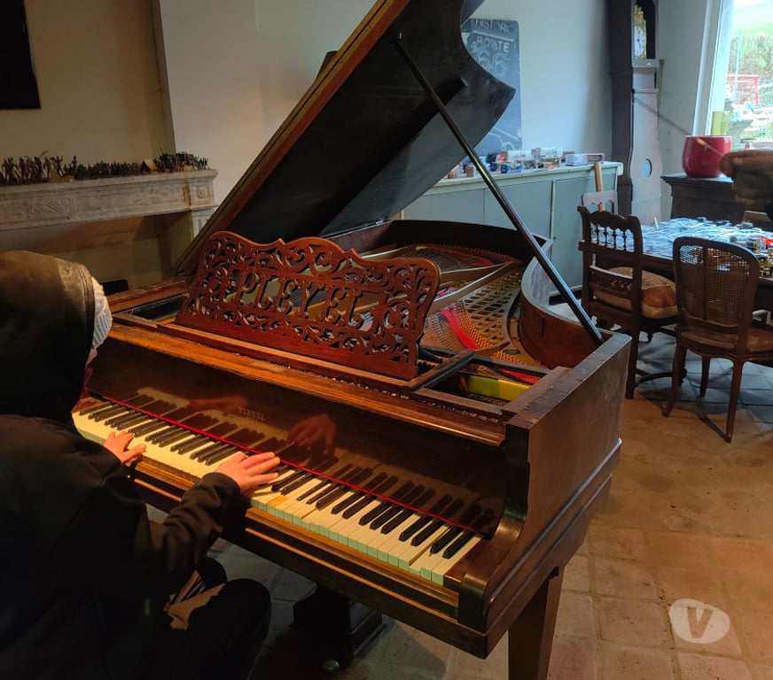 Instruments de musique Vosges Rainville - 88170 - Photos Vivastreet Quart de queue Pleyel