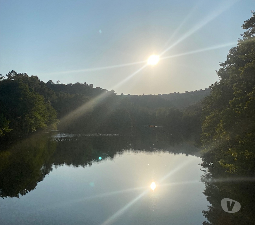 Aides à domicile Pyrénées-Atlantiques Bayonne - 64100 - Photos Vivastreet Aide à la personne, Auxiliaire de vie – H F