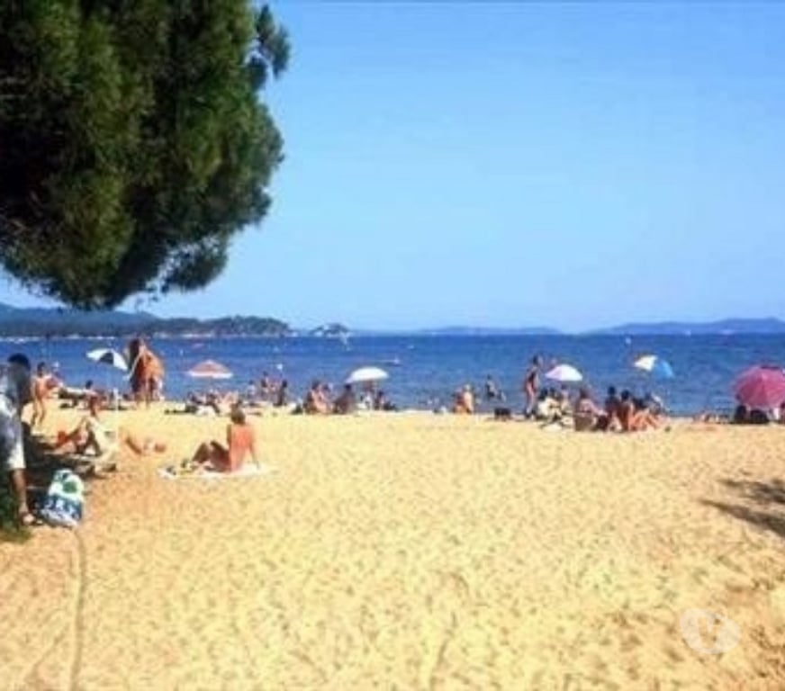 location saisonniere Var La Londe les Maures - 83250 - Photos Vivastreet Loue studio 4 personnes les pieds dans l'eau dans le var