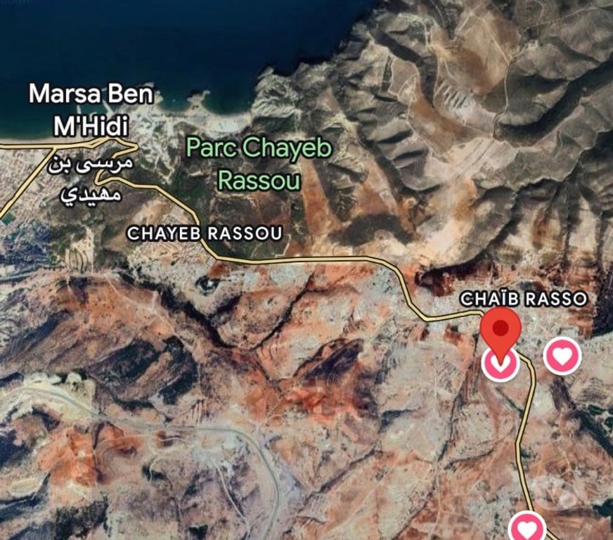 Terrain à vendre Algérie - Photos Vivastreet Lot Chaib Rasso