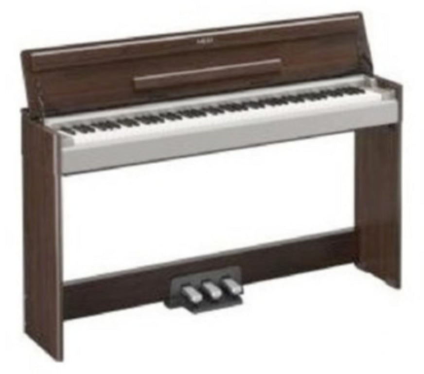 Musique - Théâtre - Danse Paris Paris 14ème ardt - 75014 - Photos Vivastreet COURS de PIANO & Solfège à DOMICILE