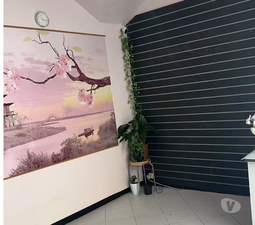 Massages Gard Nimes - Photos Vivastreet SALON DE MASSAGE - CHEN XI