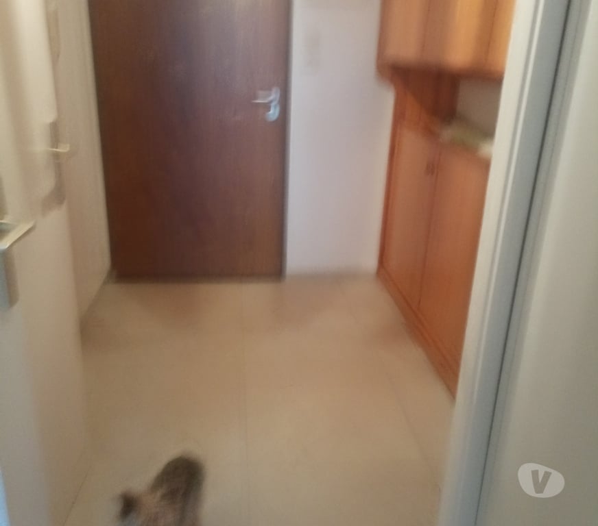 location saisonniere Var La Londe les Maures - 83250 - Photos Vivastreet LOUE ETE 2026 BEAU STUDIO 4 PERS BORD DE MER DANS LE VAR