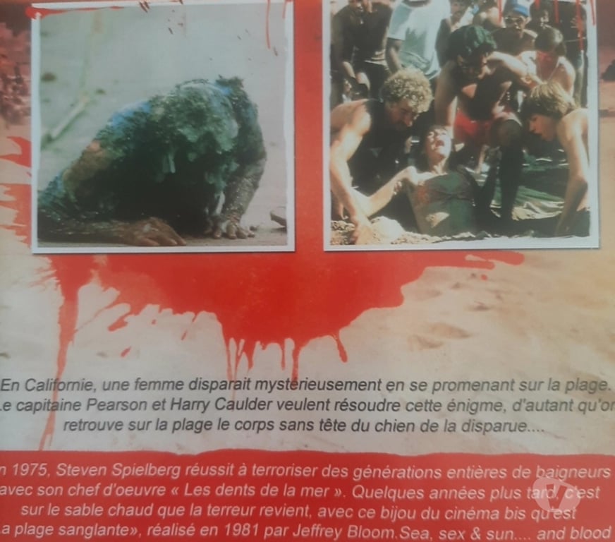 DVD occasion Pas-de-Calais Ruitz - 62620 - Photos Vivastreet La plage sanglante dvd