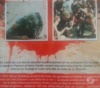 DVD occasion Ruitz Pas-de-Calais - Photos Vivastreet La plage sanglante dvd