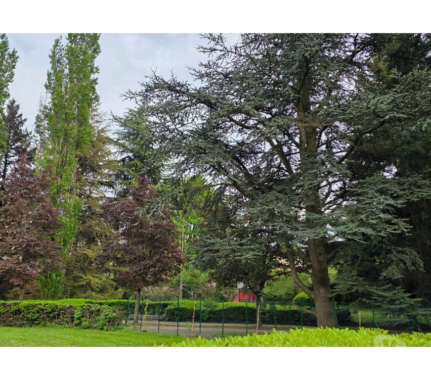 Appartements à vendre Rhône Ste Foy les Lyon - 69110 - Photos Vivastreet T2 lumineux avec grand balcon Résidence calme et arborée