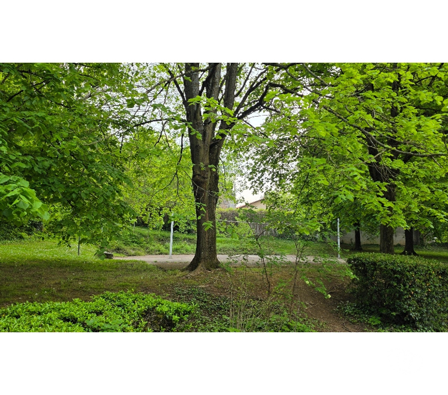 Appartements à vendre Rhône Ste Foy les Lyon - 69110 - Photos Vivastreet T2 lumineux avec grand balcon Résidence calme et arborée