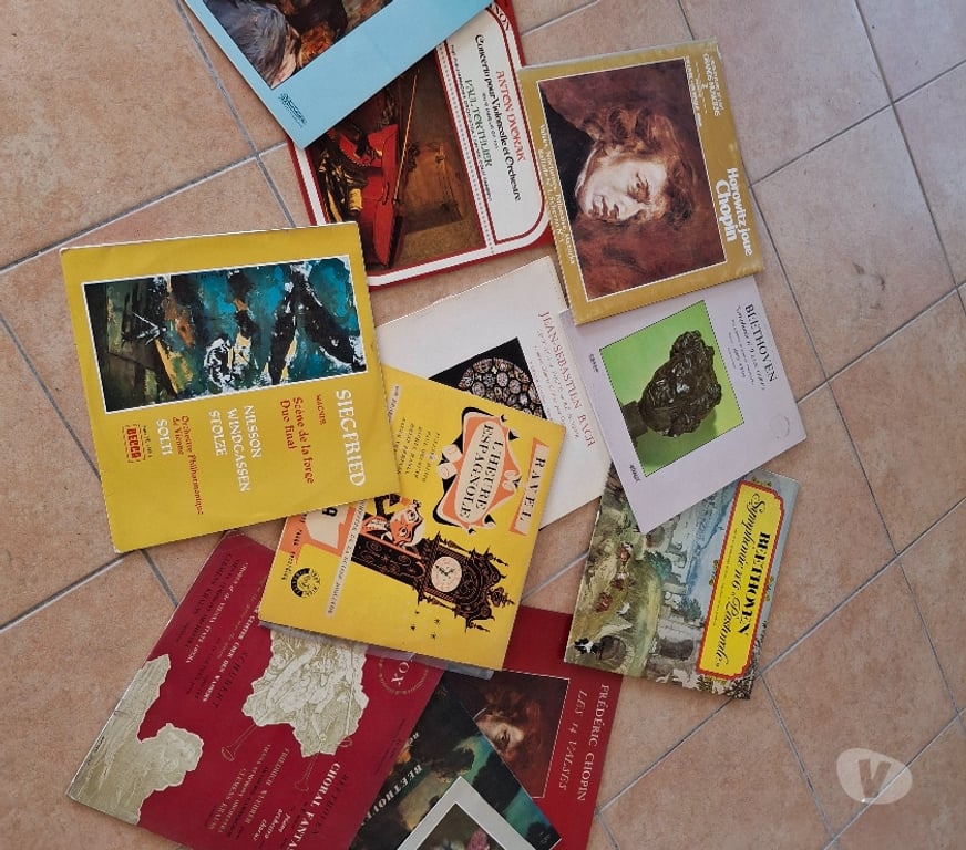 Photo - Video - Son Hautes-Alpes St Julien en Champsaur - 05500 - Photos Vivastreet Disques vinyle 33, 78 et 45 tours .