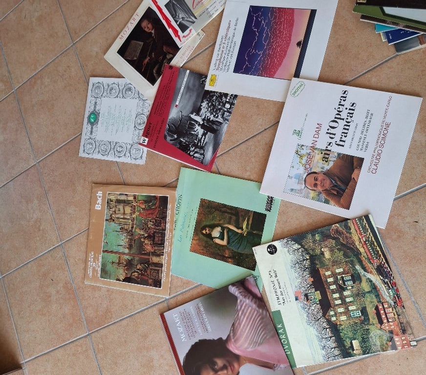 Photo - Video - Son Hautes-Alpes St Julien en Champsaur - 05500 - Photos Vivastreet Disques vinyle 33, 78 et 45 tours .