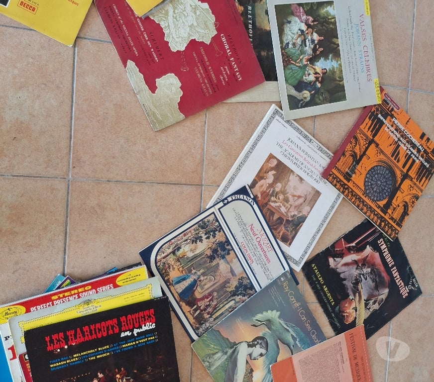 Photo - Video - Son Hautes-Alpes St Julien en Champsaur - 05500 - Photos Vivastreet Disques vinyle 33, 78 et 45 tours .