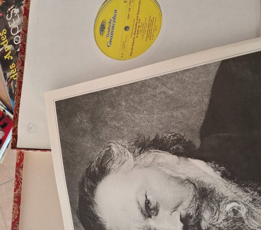 Photo - Video - Son Hautes-Alpes St Julien en Champsaur - 05500 - Photos Vivastreet Disques vinyle 33, 78 et 45 tours .