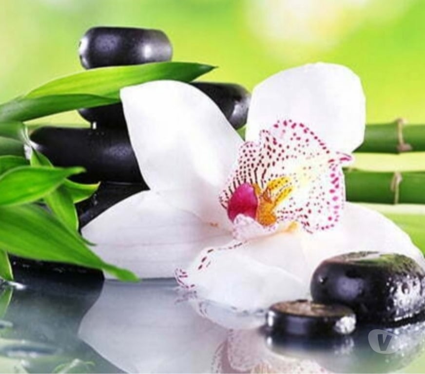 Massages Loire-Atlantique Nantes - Photos Vivastreet Massage bien-être