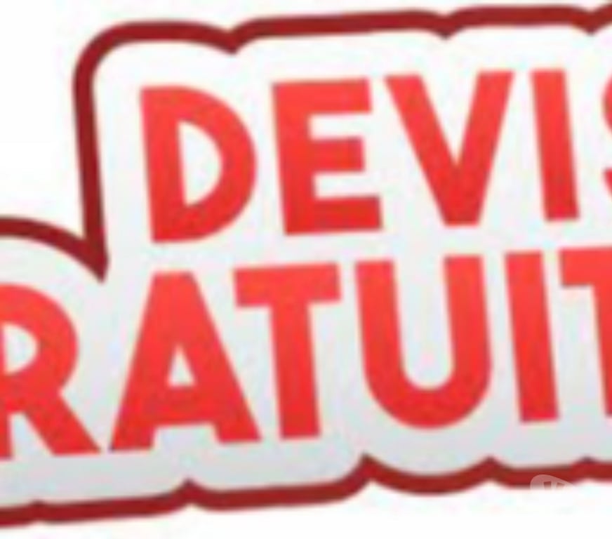 Déménageurs Paris Paris 10ème ardt - 75010 - Photos Vivastreet Petit déménagement,transport meuble,divers,toute la france