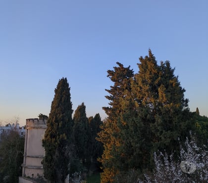 Achat appartement Bordeaux Bordeaux - Photos Vivastreet Superbe T3 lumineux traversant très bien situé rare