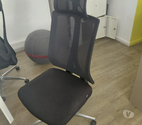 Vends chaises de bureaux