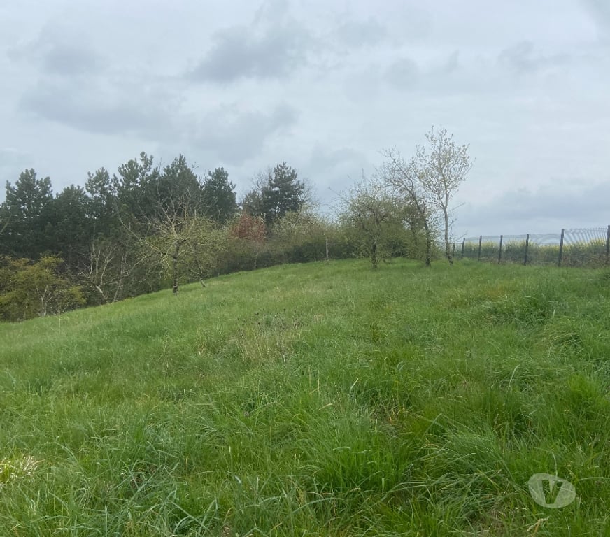 Vente Maison Yonne Vermenton - 89270 - Photos Vivastreet Maison de plain-pied