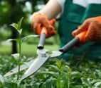 Entretien jardin – tonte et taille
