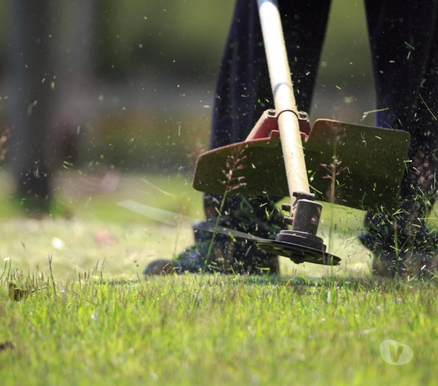 Services ménagers Hérault Agde - 34300 - Photos Vivastreet Entretien jardin – tonte et taille