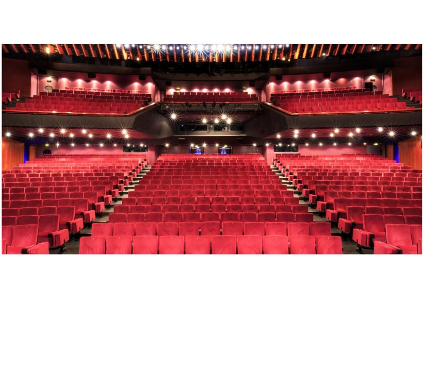 Spectacles Alpes-Maritimes Cannes - 06400 - Photos Vivastreet 2 places pour Imperfect Dancers company - Othello à Cannes