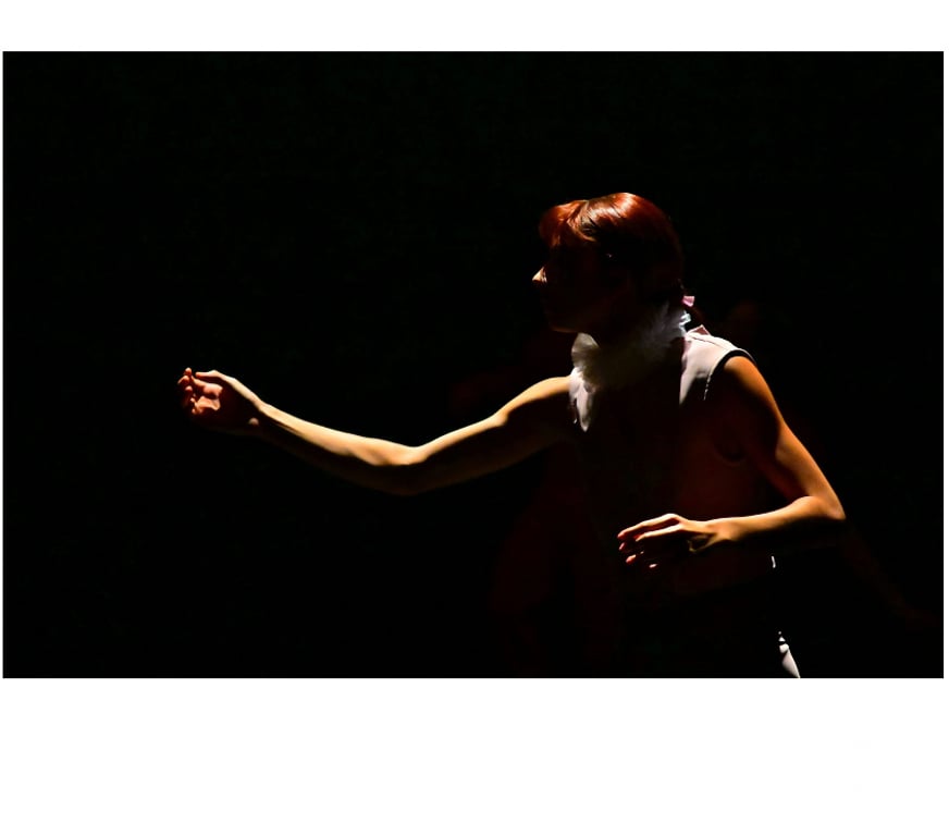 Spectacles Alpes-Maritimes Cannes - 06400 - Photos Vivastreet 2 places pour Imperfect Dancers company - Othello à Cannes