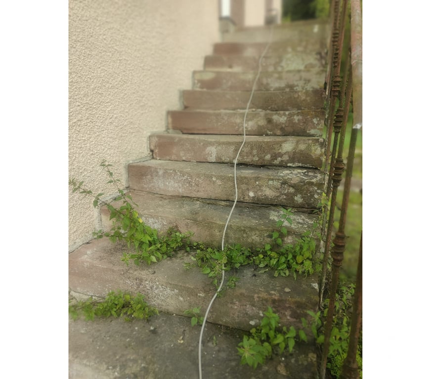  Vosges Rainville - 88170 - Photos Vivastreet Escalier double