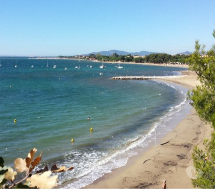 location saisonniere Var La Londe les Maures - 83250 - Photos Vivastreet VOS VACANCES 2026 dans ce grand et cosy studio la Londe var