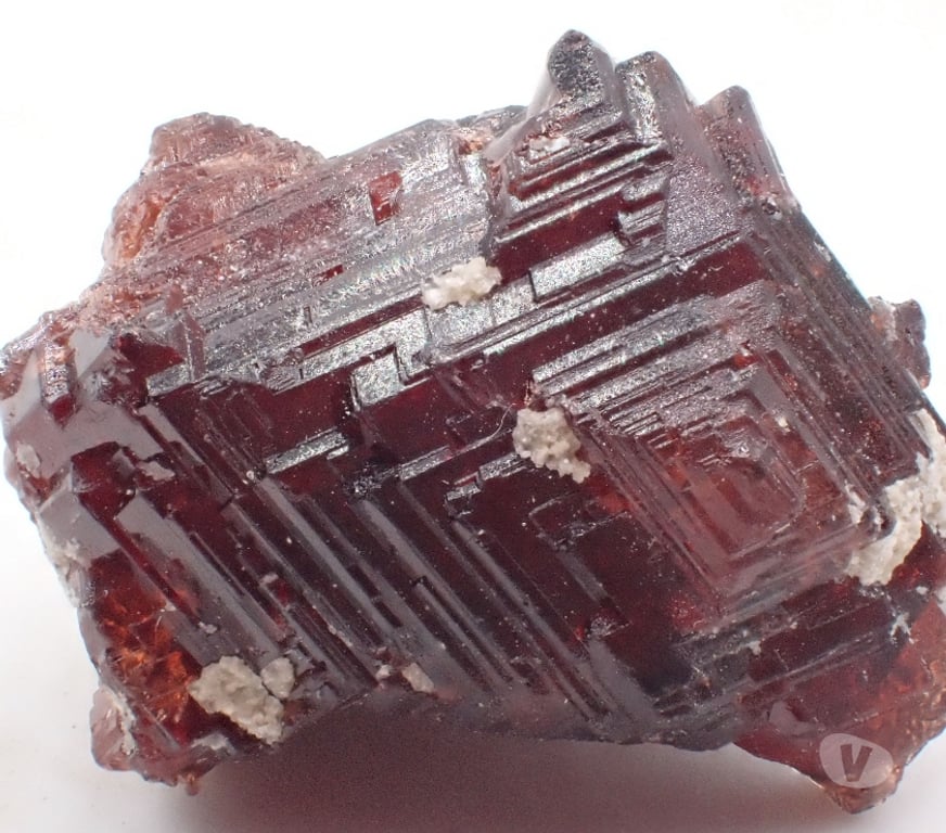 Collection Meurthe-et-Moselle Bertrichamps - 54120 - Photos Vivastreet Grenat rouge , Pakistan