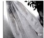 Modele photo studio