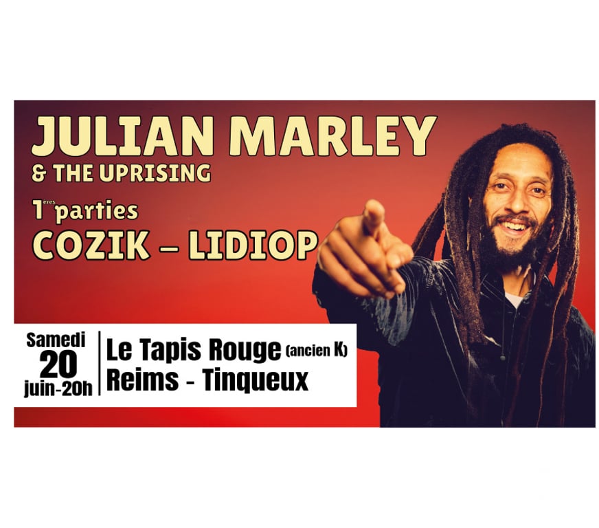 Concerts - Théâtre - Spectacles Marne Reims - Photos Vivastreet REGGAE NIGHT #2 : Concert JULIAN MARLEY
