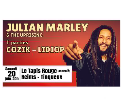Concerts - Théâtre - Spectacles Reims Marne - Photos Vivastreet REGGAE NIGHT #2 : Concert JULIAN MARLEY