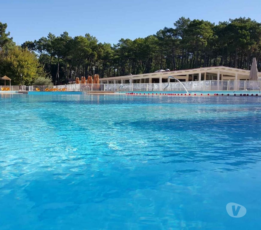 location saisonniere Gironde Le Porge - 33680 - Photos Vivastreet La Jenny Cabane de charme, forêt et océan
