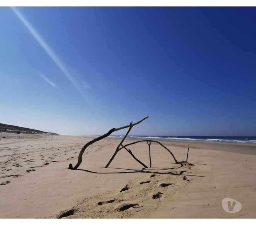location saisonniere Gironde Le Porge - 33680 - Photos Vivastreet La Jenny Cabane de charme, forêt et océan