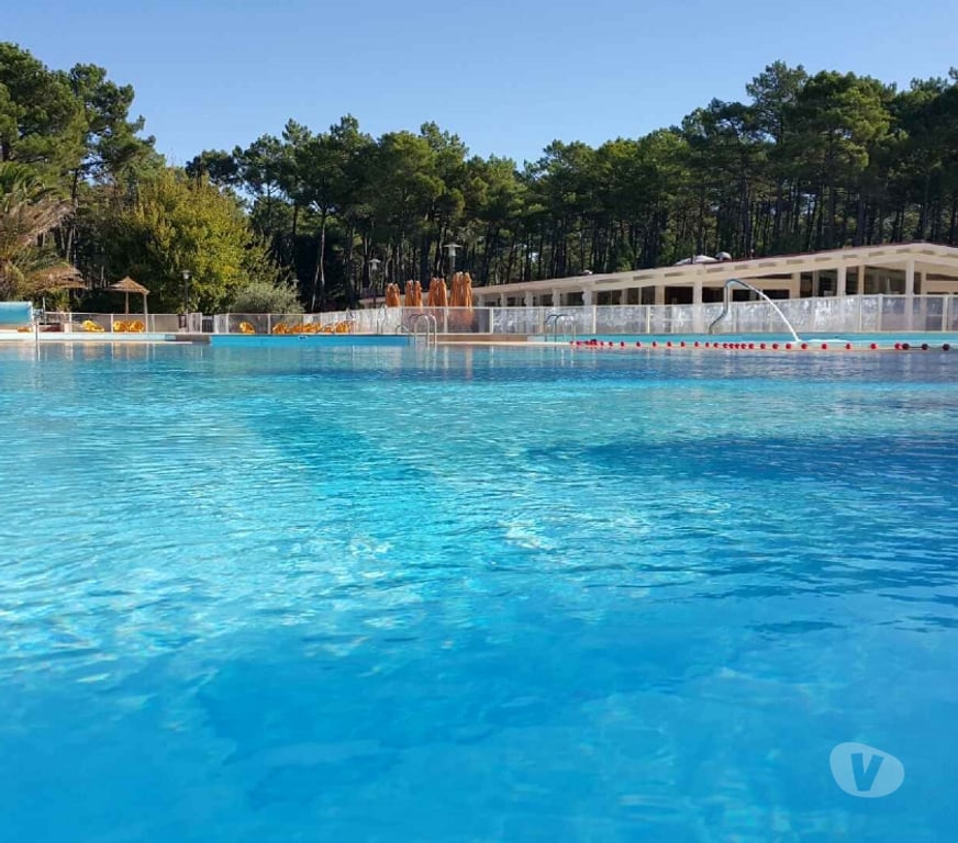location saisonniere Gironde Le Porge - 33680 - Photos Vivastreet La Jenny Cabane de charme, forêt et océan