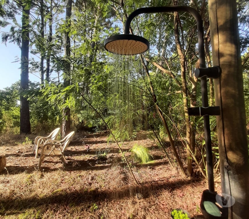 location saisonniere Gironde Le Porge - 33680 - Photos Vivastreet La Jenny Cabane de charme, forêt et océan