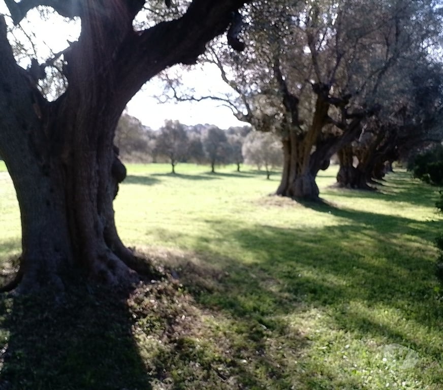 Aides à domicile Var Hyeres - 83400 - Photos Vivastreet couple cherche gardiennage entre bandol et le lavandou
