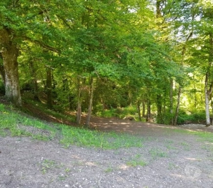 Services, accessoires animaux Haute-Savoie Annecy le Vieux - 74940 - Photos Vivastreet Location pré à pâturage pour chevaux