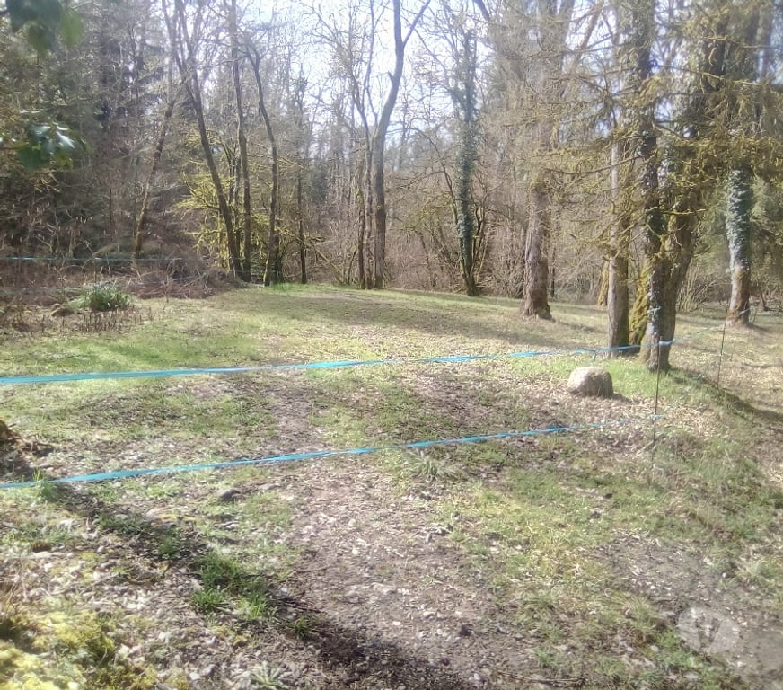 Services, accessoires animaux Haute-Savoie Annecy le Vieux - 74940 - Photos Vivastreet Location pré à pâturage pour chevaux