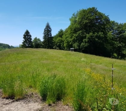 Services, accessoires animaux Annecy le Vieux Haute-Savoie - Photos Vivastreet Location pré à pâturage pour chevaux