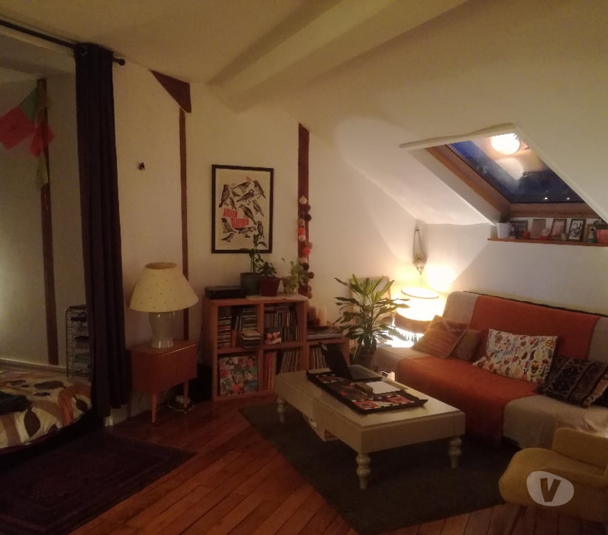 Location appartement Rhône Lyon - Photos Vivastreet PART. loue grand F1 Bis