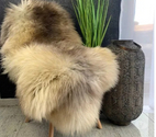 tapis décoratif en peau de mouton
