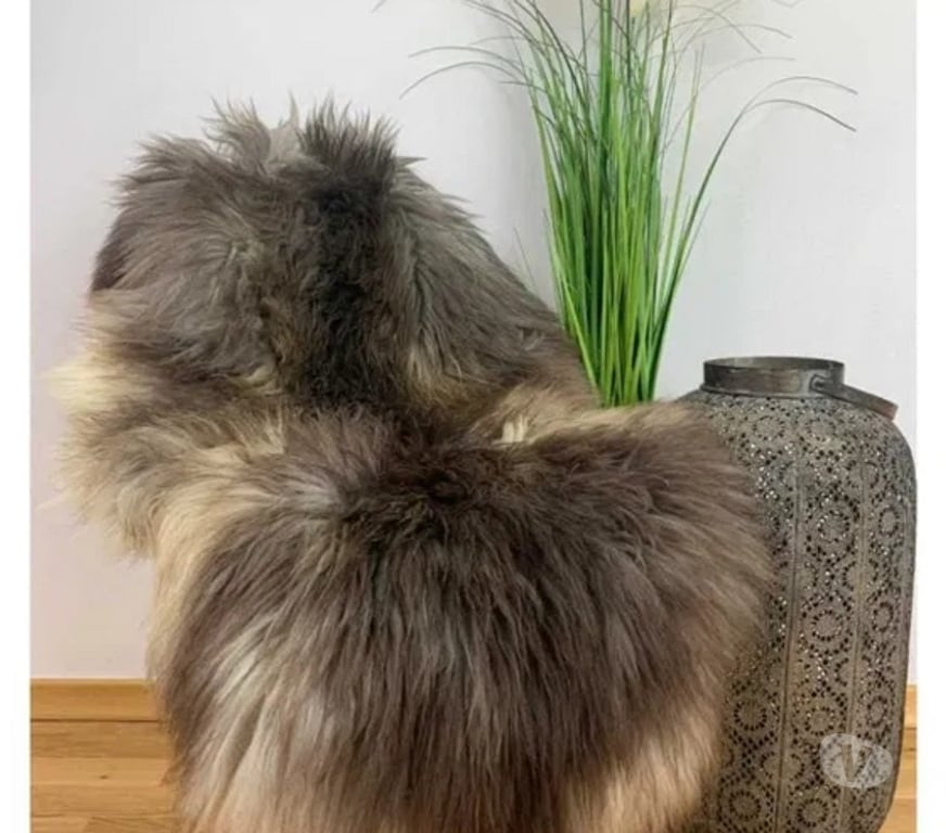 Décoration - art Rhône Craponne - 69290 - Photos Vivastreet tapis décoratif en peau de mouton