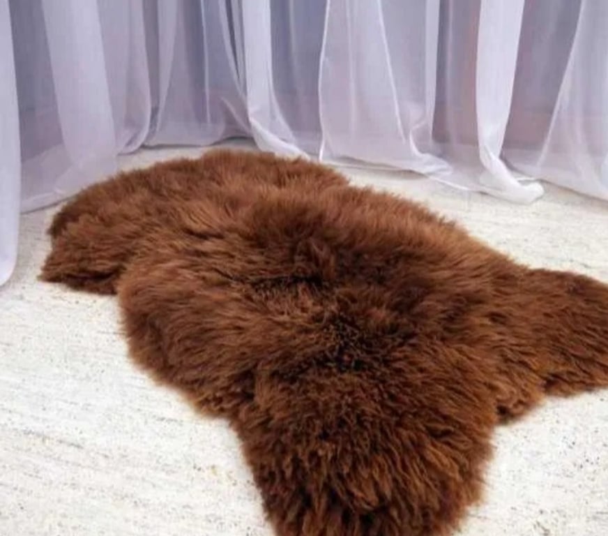 Décoration - art Rhône Craponne - 69290 - Photos Vivastreet Tapis décoratif néerlandais en peau de mouton naturelle