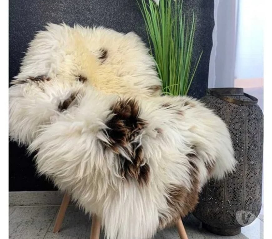 Décoration - art Rhône Craponne - 69290 - Photos Vivastreet Tapis décoratif néerlandais en peau de mouton naturelle