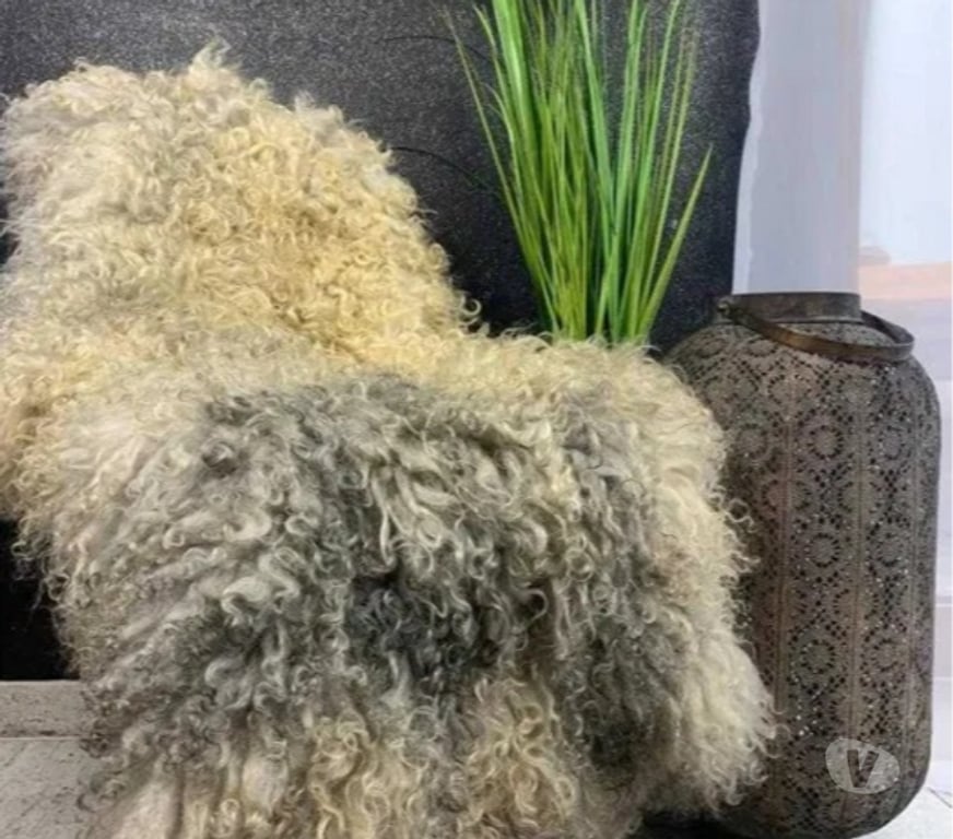 Décoration - art Rhône Craponne - 69290 - Photos Vivastreet tapis décoratif en peau de mouton naturelle pour la chambre