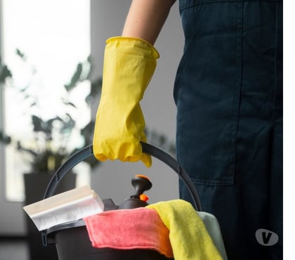 Aides à domicile Lille Lille - Photos Vivastreet Aide domicilière aux personne