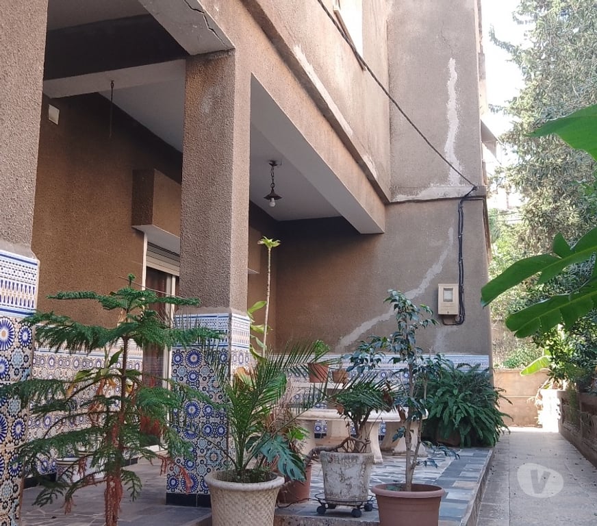 Vente Maison Algérie - Photos Vivastreet Vends maison avec terrain de 1260 m2 arboré et piscinable