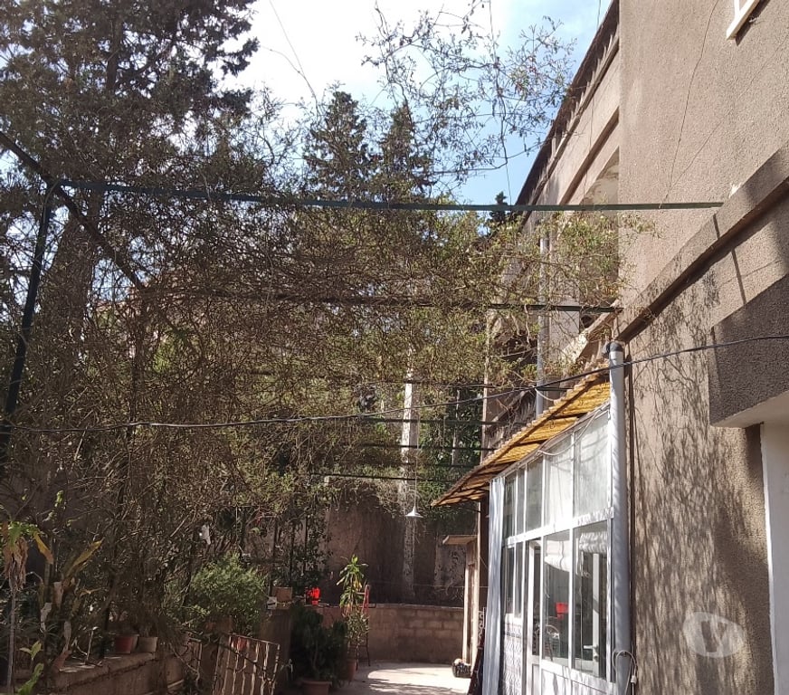 Vente Maison Algérie - Photos Vivastreet Vends maison avec terrain de 1260 m2 arboré et piscinable