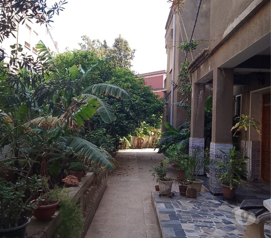 Vente Maison Algérie - Photos Vivastreet Vends maison avec terrain de 1260 m2 arboré et piscinable