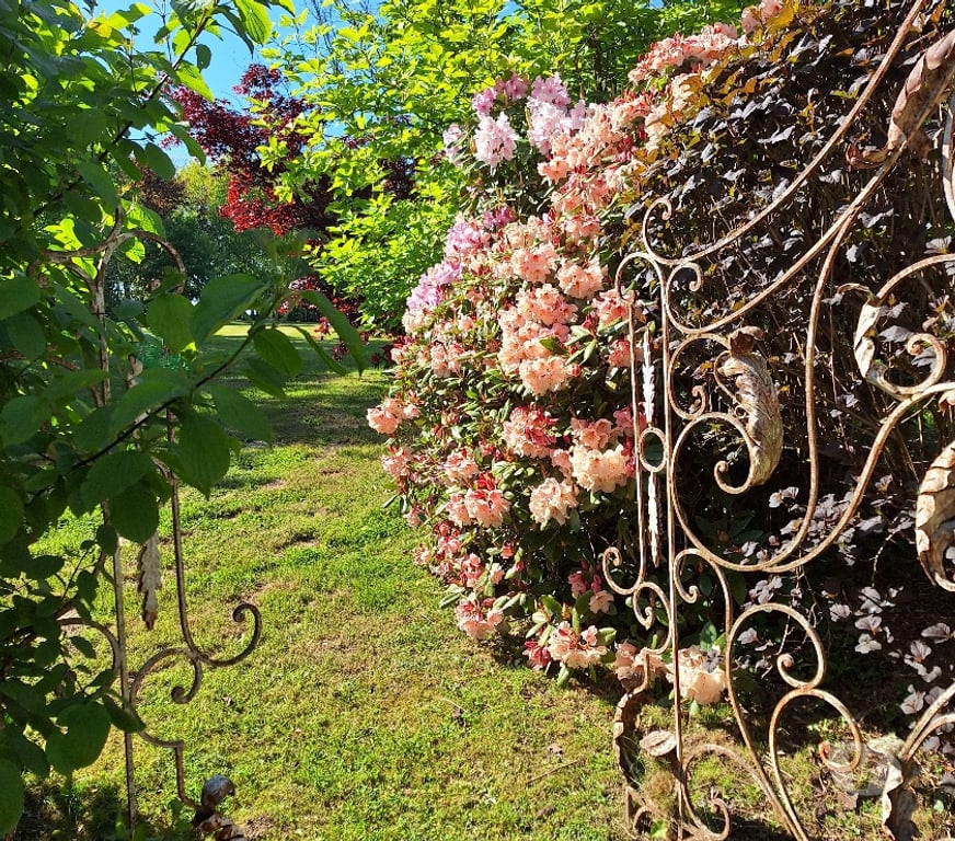 Vente Maison Calvados Cahagnolles - 14490 - Photos Vivastreet Belle propriété Normande,